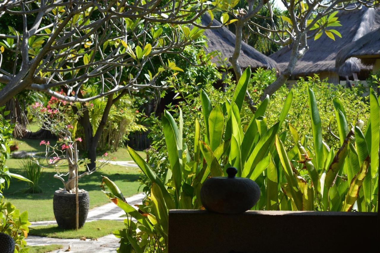 Sunia Loka Bungalows & Dive Center Pemuteran Εξωτερικό φωτογραφία