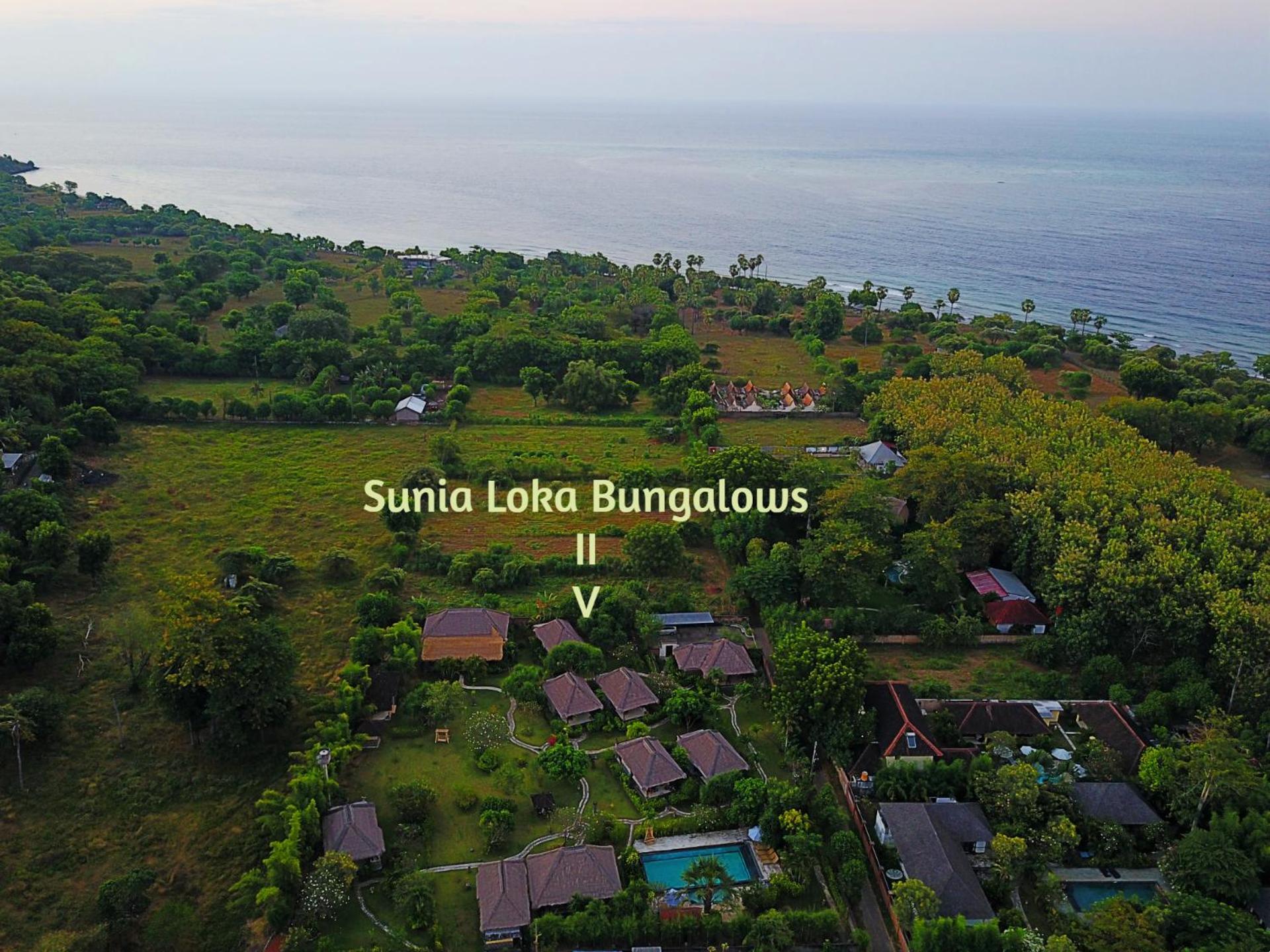 Sunia Loka Bungalows & Dive Center Pemuteran Εξωτερικό φωτογραφία