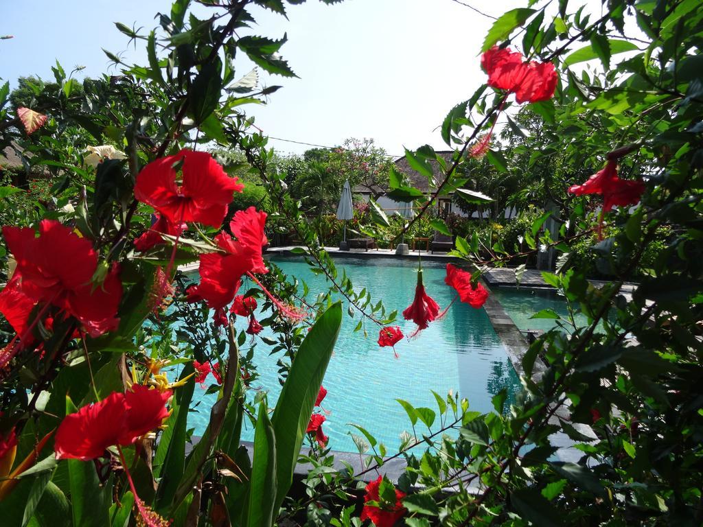 Sunia Loka Bungalows & Dive Center Pemuteran Εξωτερικό φωτογραφία