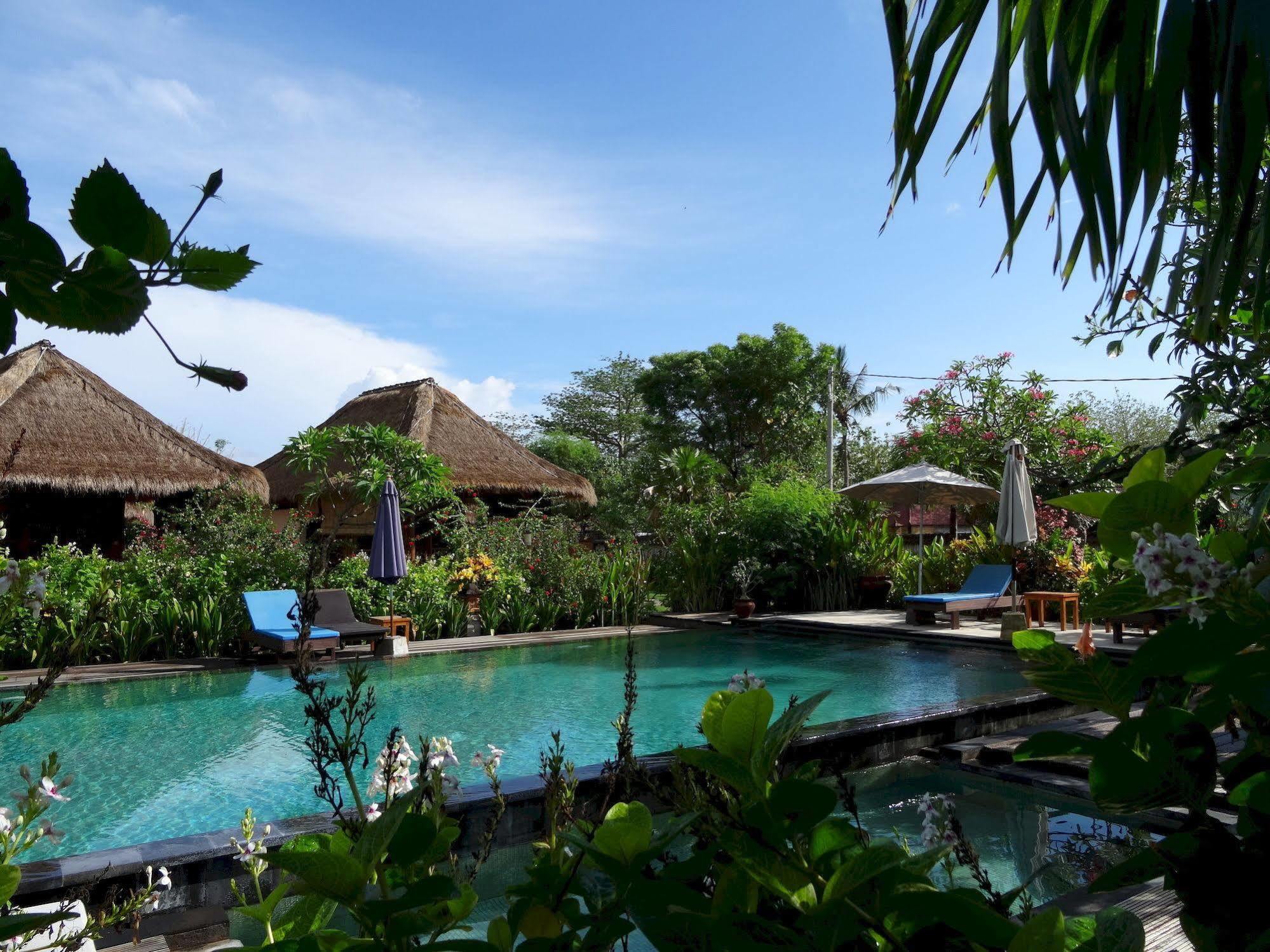 Sunia Loka Bungalows & Dive Center Pemuteran Εξωτερικό φωτογραφία