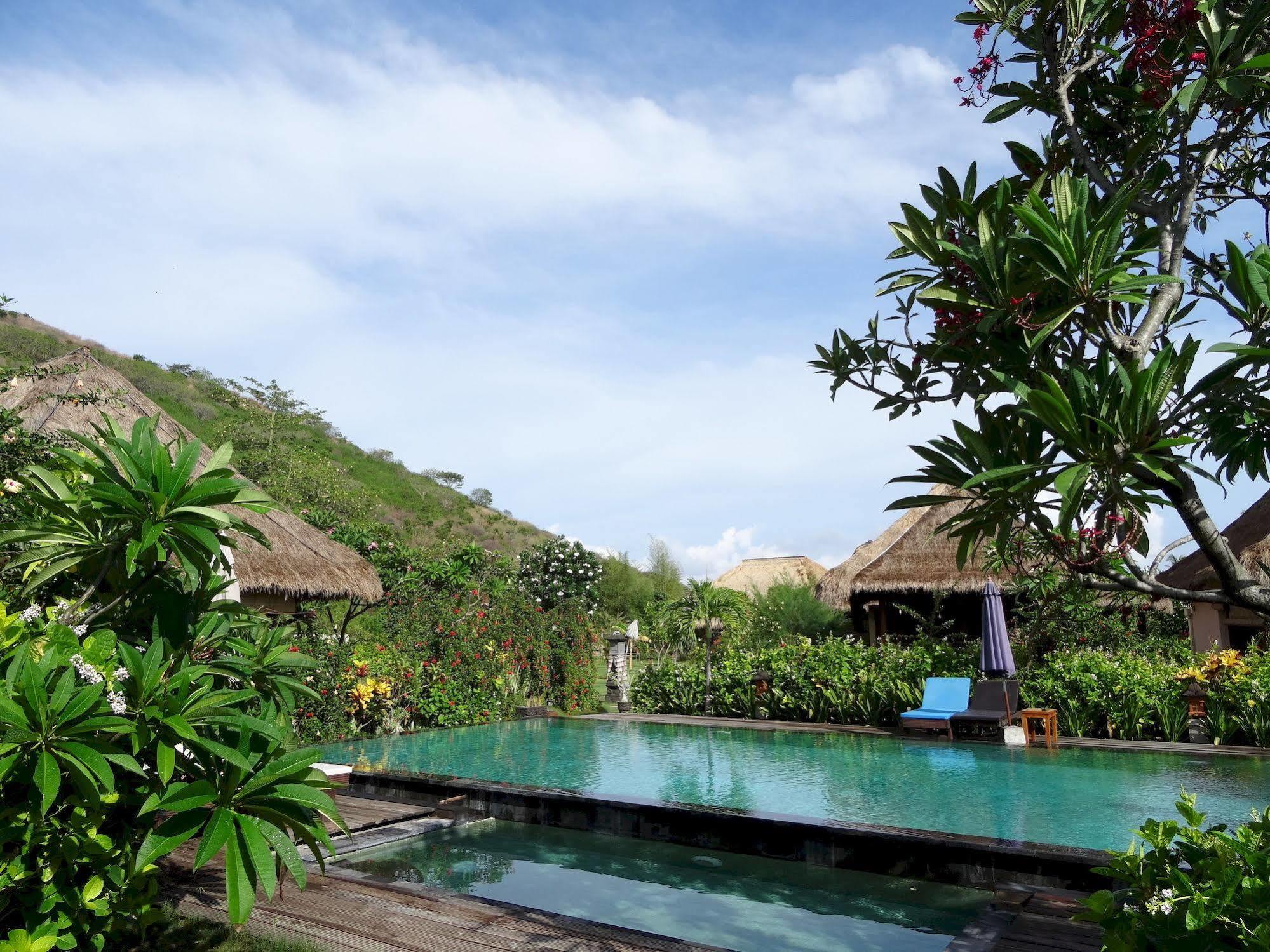 Sunia Loka Bungalows & Dive Center Pemuteran Εξωτερικό φωτογραφία