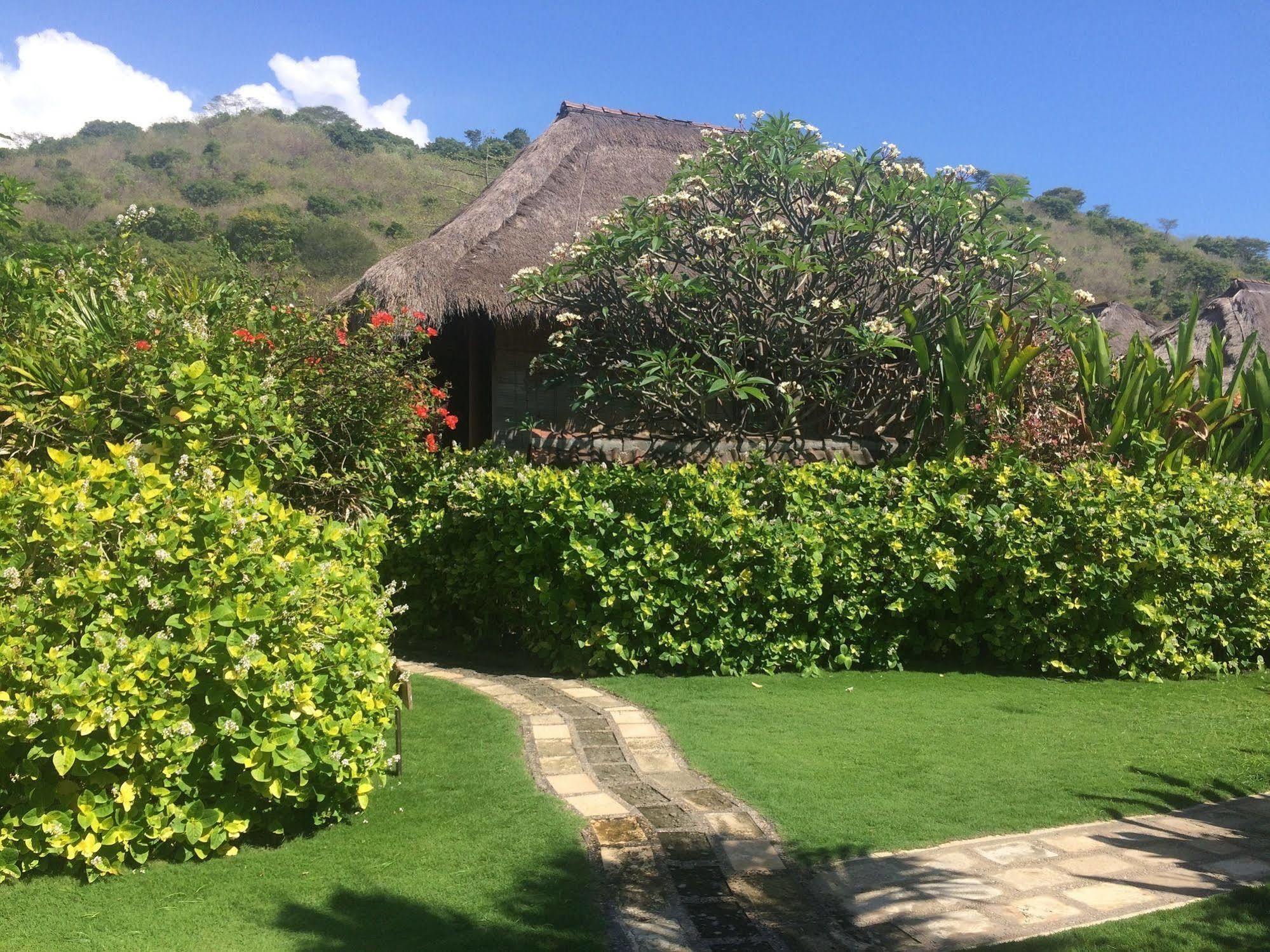 Sunia Loka Bungalows & Dive Center Pemuteran Εξωτερικό φωτογραφία