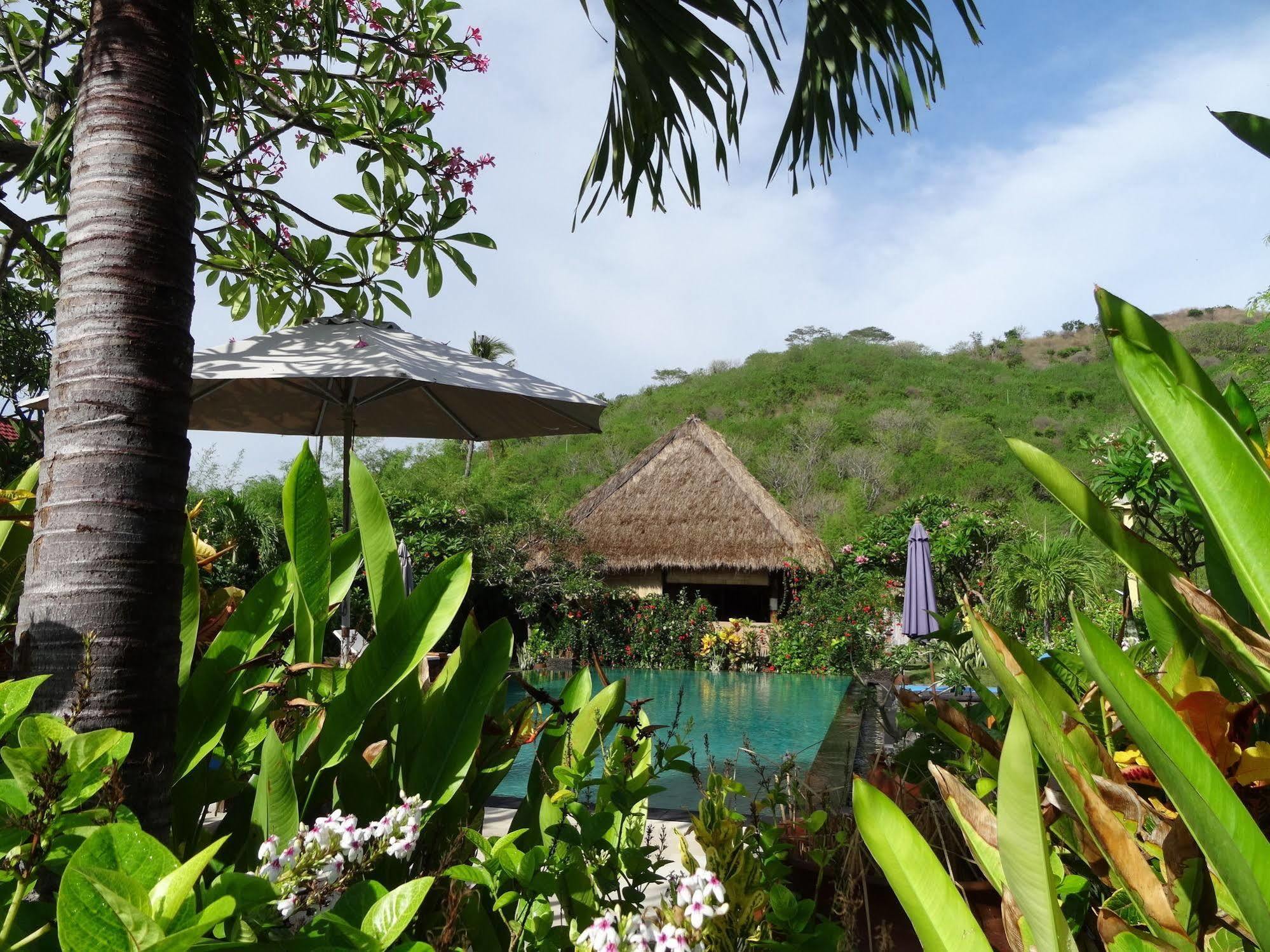 Sunia Loka Bungalows & Dive Center Pemuteran Εξωτερικό φωτογραφία